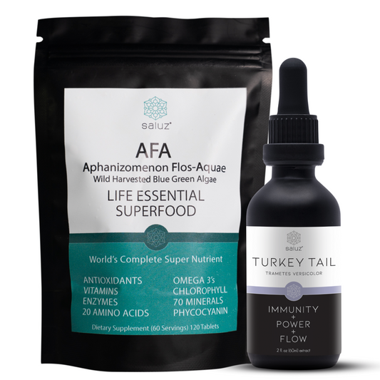 Gut Health + Longevity +  Immunity Pairing